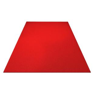 入户门地垫进门门口丝圈脚垫家用进户门垫门外室外可裁剪地毯防滑