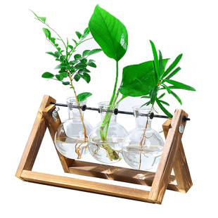 创意木架水培绿萝玻璃花瓶容器盆办公室内桌面绿植现代陶瓷摆件