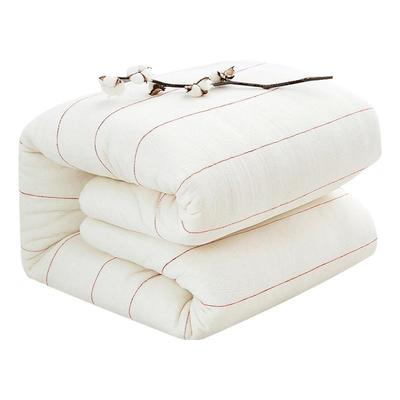 新疆长绒棉加厚保暖被子被芯棉被