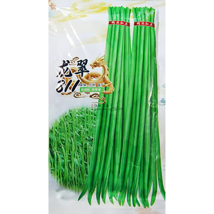 早中熟耐寒龙翠801翠绿肉厚高产长豆角种子条荚长挂荚多蔬菜种子
