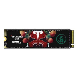 梵想S500PRO M.2固态硬盘1T 2TSSD长江存储晶圆NVMe台式笔记本