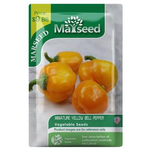 【MARSEED火星家】传家宝MiniatureBell黄色小铃铛甜椒种子
