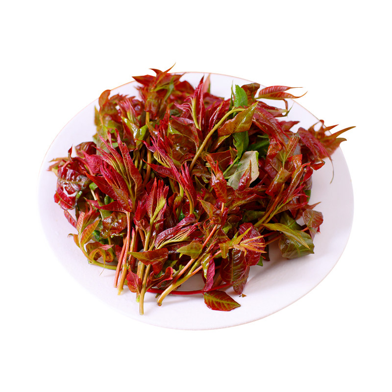 新鲜香椿芽2026头茬野生露天红油香椿头嫩芽现摘现发当季蔬菜