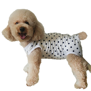 母狗狗衣服家居服四脚背心波点薄护肚全包肚子腹防乱尿公狗礼貌裤