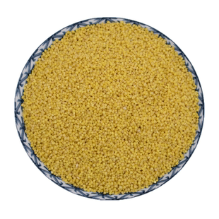 2025年5斤新米陕北山地小米黄小米煮小米粥新米陕北特产新米