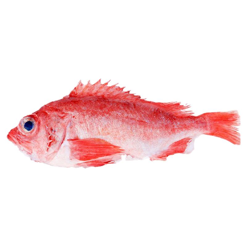 加拿大紅魚紅石斑魚鮮活冷凍海魚大魚新鮮超大條富貴魚海鮮水產(chǎn)