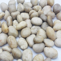 2-4 ярко-белый