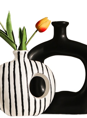 陶瓷花瓶摆件轻奢高级感客厅插花