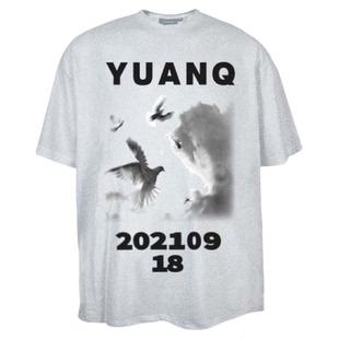 YUANQ24SS和平鸽美式短袖小众小领口原创国潮复古休闲百搭宽松T恤