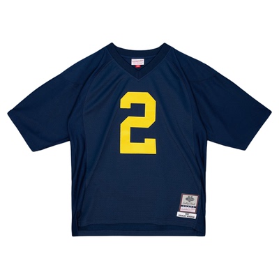 MN密西根大学伍德森2号球衣