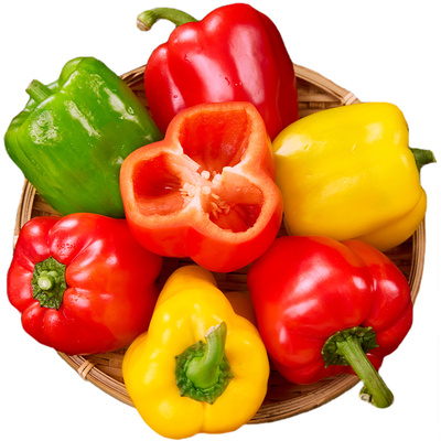山东彩椒当季新鲜水果五彩甜椒