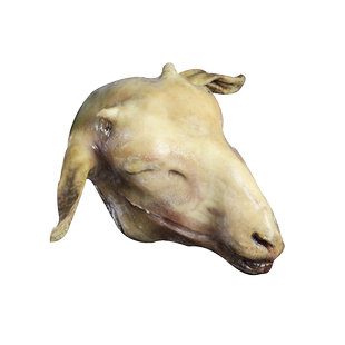 羔羊生羊头新鲜整只羊蹄整套带皮火燎清真内蒙古散养羔羊肉包邮