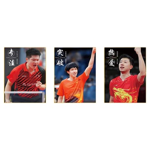 乒乓球室装饰画球馆文化墙贴明星马龙樊振东孙颖莎体育运动员海报
