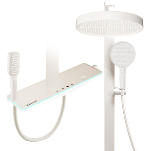 万和淋浴花洒套装家用冷热沐浴卫浴铜质增压暗装顶喷恒温花洒h37