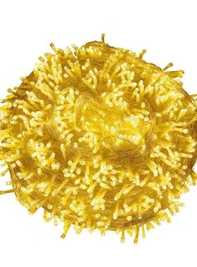 挂树上的彩灯闪灯串灯防水缠树灯