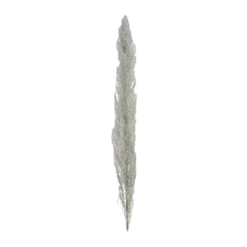 芦苇草干花复古装饰原枝摆件