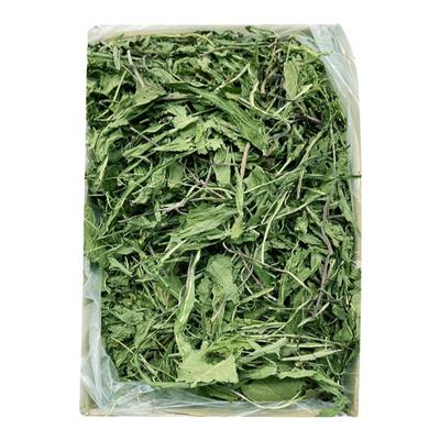 精灵素烘干蒲公英干草