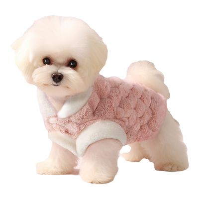 狗狗衣服秋冬季泰迪博美比熊