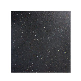 橡胶减震地垫室内加厚硬拉杠铃加高垫防砸隔音健身房力量区地胶垫