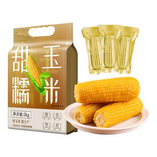 2025新货东北黄糯玉米棒真空低脂新鲜东北黏粘苞米大棒早餐非即食