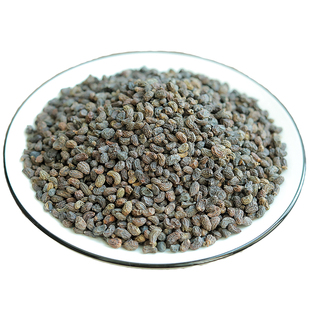 女贞子籽野生当季干货500g克男人泡茶泡酒中药材女贞籽中药冬青籽