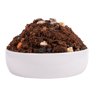 天南星科专用土龟背竹营养土秋海棠蔓绿绒海芋花烛进口泥炭热植土