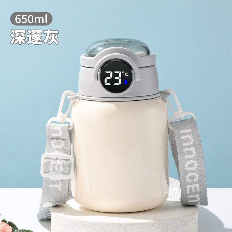 智能温度显示保温杯316不锈钢便携值水杯杯高颜大肚学生吸管儿童