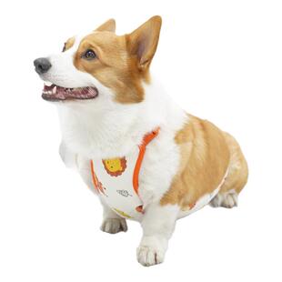 狗狗肚兜防着凉护肚衣宠物柯基肚兜舒适居家服猫咪纯棉衣服睡衣