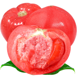 四川沙瓤西红柿番茄自然熟不打药当季新鲜蔬菜非普罗旺斯整箱发