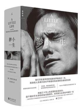 渺小一生（2025新版）[美] 柳原汉雅 蔡康永推荐 四个好友三十年人生起落的友谊史诗 Apple年度文学类图书第1名 理想国图书旗舰店