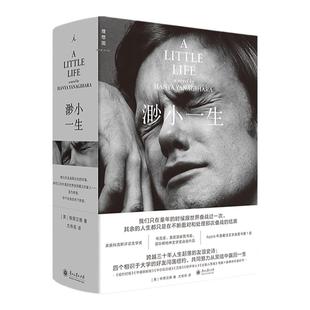 渺小一生（2025新版）[美] 柳原汉雅 蔡康永推荐 四个好友三十年人生起落的友谊史诗 Apple年度文学类图书第1名 理想国图书旗舰店