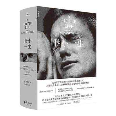 渺小一生（2025新版）[美] 柳原汉雅 蔡康永推荐 四个好友三十年人生起落的友谊史诗 Apple年度文学类图书第1名 理想国图书旗舰店