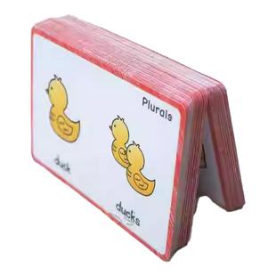 plurals名词复数变规则英语闪卡幼儿童小学启蒙早教80组160词教具