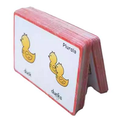 plurals名词复数变规则英语闪卡幼儿童小学启蒙早教80组160词教具