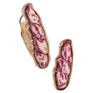 2025新货七彩花生云南普洱七彩晒干五彩花生生带壳熟花生零食