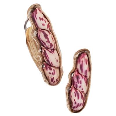 云南普洱七彩花生晒干五彩花生