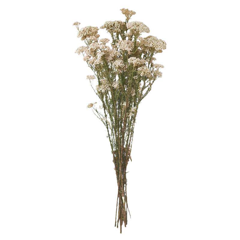久伴天然米花干花永生花束真花插花树枝客厅桌面装饰摆件复古高级