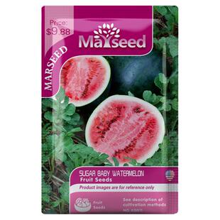 【掌柜推荐】好吃滴进口传家宝Sugar Baby糖宝宝西瓜种子籽苗