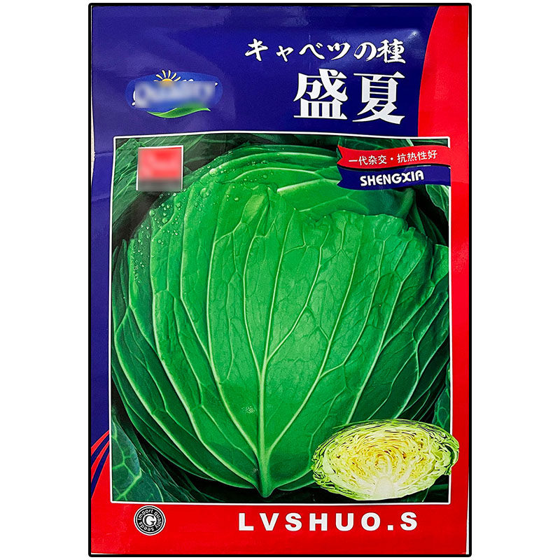 盛夏耐热夏甘蓝莲花白种子莲花白