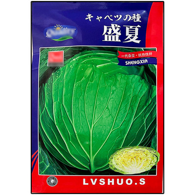 盛夏耐热夏甘蓝莲花白种子莲花白
