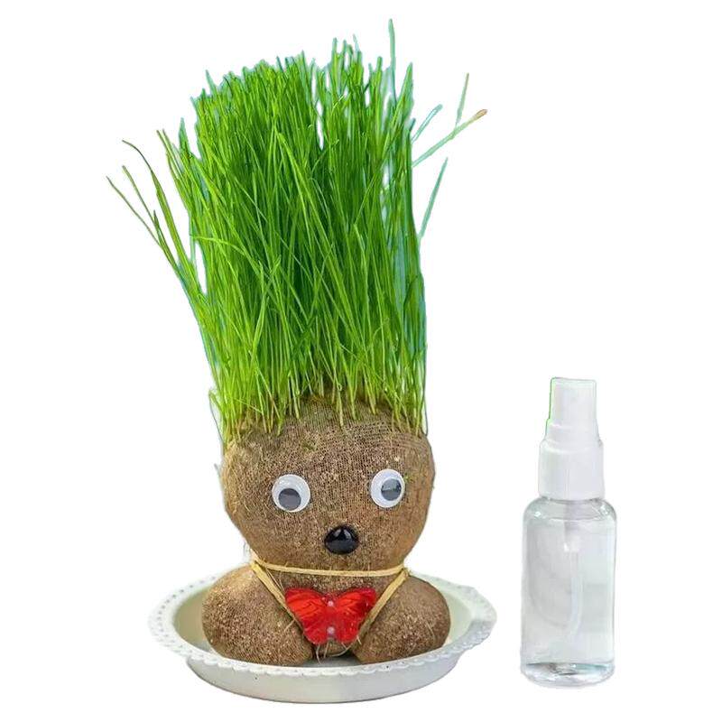 草头娃娃小盆栽草娃娃幼儿园创意绿植桌面迷你儿童植物水培办公桌