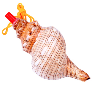 天然海螺号角可吹喇叭口哨超大贝壳哨子哨小螺号能吹响的