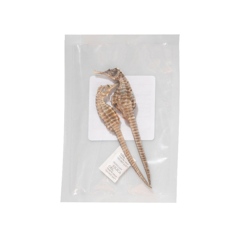 【10g大海马】海马中药饮片中药材正品 一公一母10g 泡酒干货野生