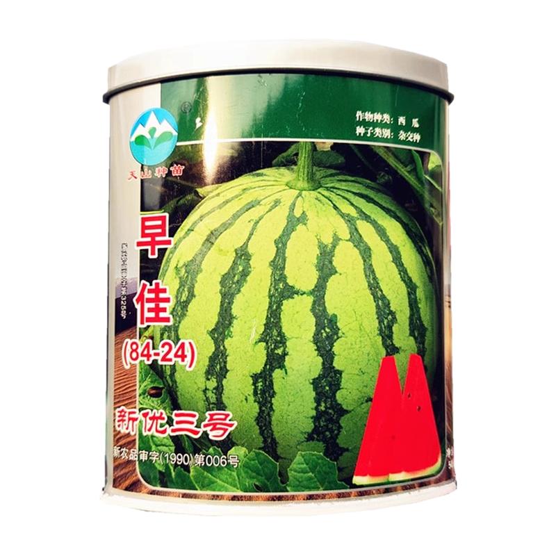 早佳8424西瓜种子50克冰糖心水果