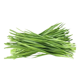 甘肃新鲜蔬菜现割新鲜韭菜韭菜新鲜韭菜鸡蛋白根韭菜嫩韭菜细韭菜