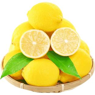 柠檬新鲜水果四川安岳黄柠檬奶茶店专用现摘无籽薄皮香水甜柠檬青