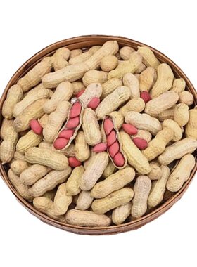 生花生新鲜红皮花生红衣干花生重庆梁平发货3斤