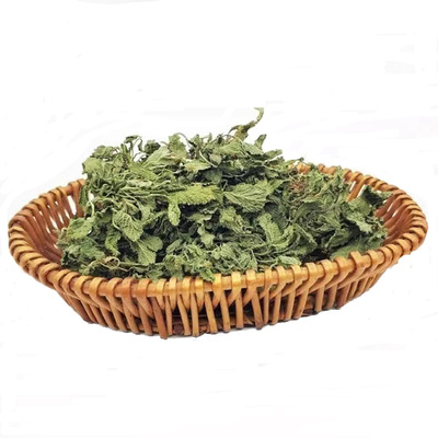 自然生长河南南阳蛤蟆草