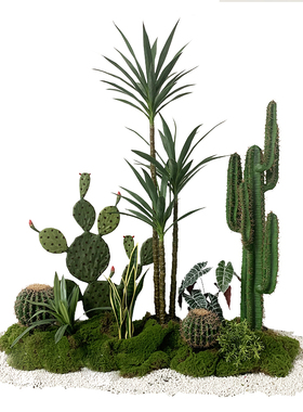 室内装饰仿真植物仙人掌仙人柱