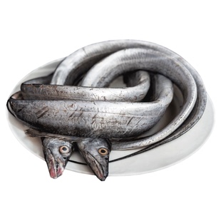 刘清海鲜 大连特产 旅顺带鱼 新鲜冷冻 渤海湾刀鱼2条 小眼深海鱼